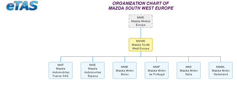 Organization chart of a company